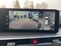 Kia Sorento PE 2.2D AWD PLATINUM NAPPA PREM AHZV Grün - thumbnail 14