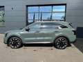 Kia Sorento PE 2.2D AWD PLATINUM NAPPA PREM AHZV Grün - thumbnail 5