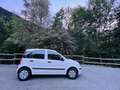 Fiat Panda Panda 1.2 8V Panda Panda Natural Power Blanc - thumbnail 1