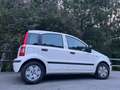 Fiat Panda Panda 1.2 8V Panda Panda Natural Power Blanc - thumbnail 3