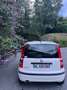 Fiat Panda Panda 1.2 8V Panda Panda Natural Power Blanc - thumbnail 6