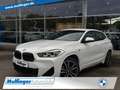 BMW X2 5e M Sport Navi LED Har/Kar.Tempom.DAB 19" Weiß - thumbnail 1