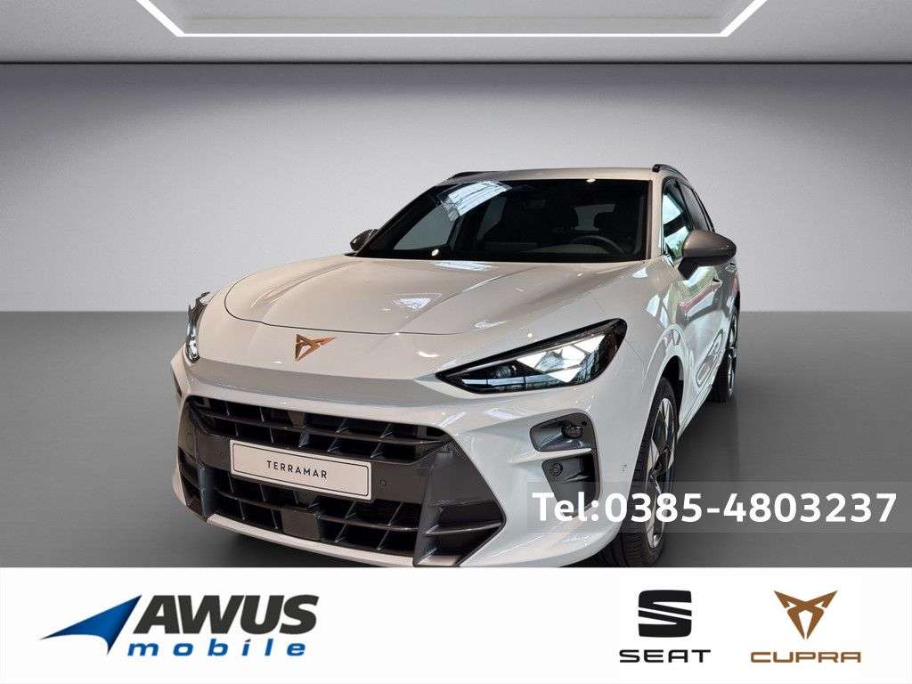 Second hand Cupra Terramar 2.0