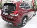Subaru Forester 2.0i Hybrid Sport Plus CVT Rojo - thumbnail 4