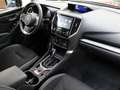 Subaru Forester 2.0i Hybrid Sport Plus CVT Rojo - thumbnail 7