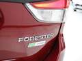 Subaru Forester 2.0i Hybrid Sport Plus CVT Rojo - thumbnail 46