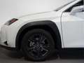 Lexus UX 300h 2.0  Plus - thumbnail 16