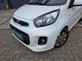 Kia Picanto 1.0 CVVT EconomyPlusLine Blanco - thumbnail 21