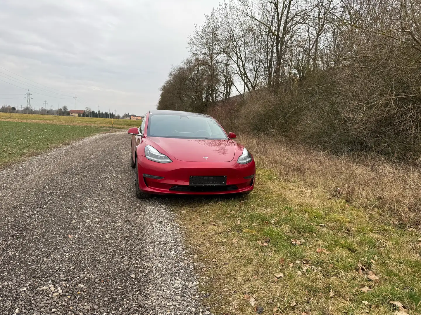 Tesla Model 3 Model 3 Standard Range RWD Plus 57,5kWh RWD Plus Rot - 2