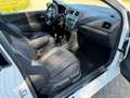 Volkswagen Polo 1.2 TSI Highline PANO I CRUISE I PDC I ZEER MOOI I Wit - thumbnail 9