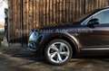 Bentley Bentayga W12 Standheizung Head-Up ACC 22" AHK Brun - thumbnail 3