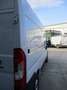 Fiat Ducato 35 2.3 MJT 140CV L2H2 Furgone Bianco - thumbnail 8