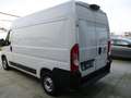 Fiat Ducato 35 2.3 MJT 140CV L2H2 Furgone Bianco - thumbnail 2