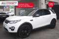 Land Rover Discovery Sport Land Rover Discovery Sport 2.0 TD4 150cv Pure 4WD Unicoproprietario Weiß - thumbnail 1