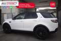 Land Rover Discovery Sport Land Rover Discovery Sport 2.0 TD4 150cv Pure 4WD Unicoproprietario Weiß - thumbnail 16