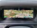 Land Rover Defender 110 3.0D I6 300 110 75TH LIMITED EDITION AWD AUT Verde - thumbnail 15