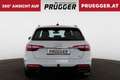 Audi A4 Avant 35 TDI S-tonic LED NAVI AHV SPORTSITZE Blanc - thumbnail 6
