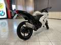 Kawasaki Ninja 250 R Wit - thumbnail 8