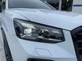 Audi Q2 Q2 I 2021 30 2.0 tdi Identity Black s-tronic Bianco - thumbnail 7