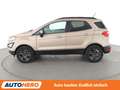 Ford EcoSport 1.0 EcoBoost Cool&Connect *NAVI*TEMPO*PDC*SHZ* Braun - thumbnail 3