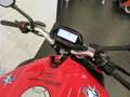 MV Agusta Brutale 800 NIEUWSTAAT HISTORIE Rood - thumbnail 5