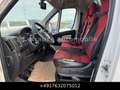 Fiat Ducato 2.3 JTD Koffer MAXI St.Hz. Tempomat Luft Weiß - thumbnail 18