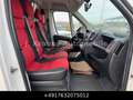 Fiat Ducato 2.3 JTD Koffer MAXI St.Hz. Tempomat Luft Weiß - thumbnail 14