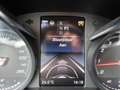 Mercedes-Benz C 300 AMG Styling , Luchtvering , LED Albastru - thumbnail 12