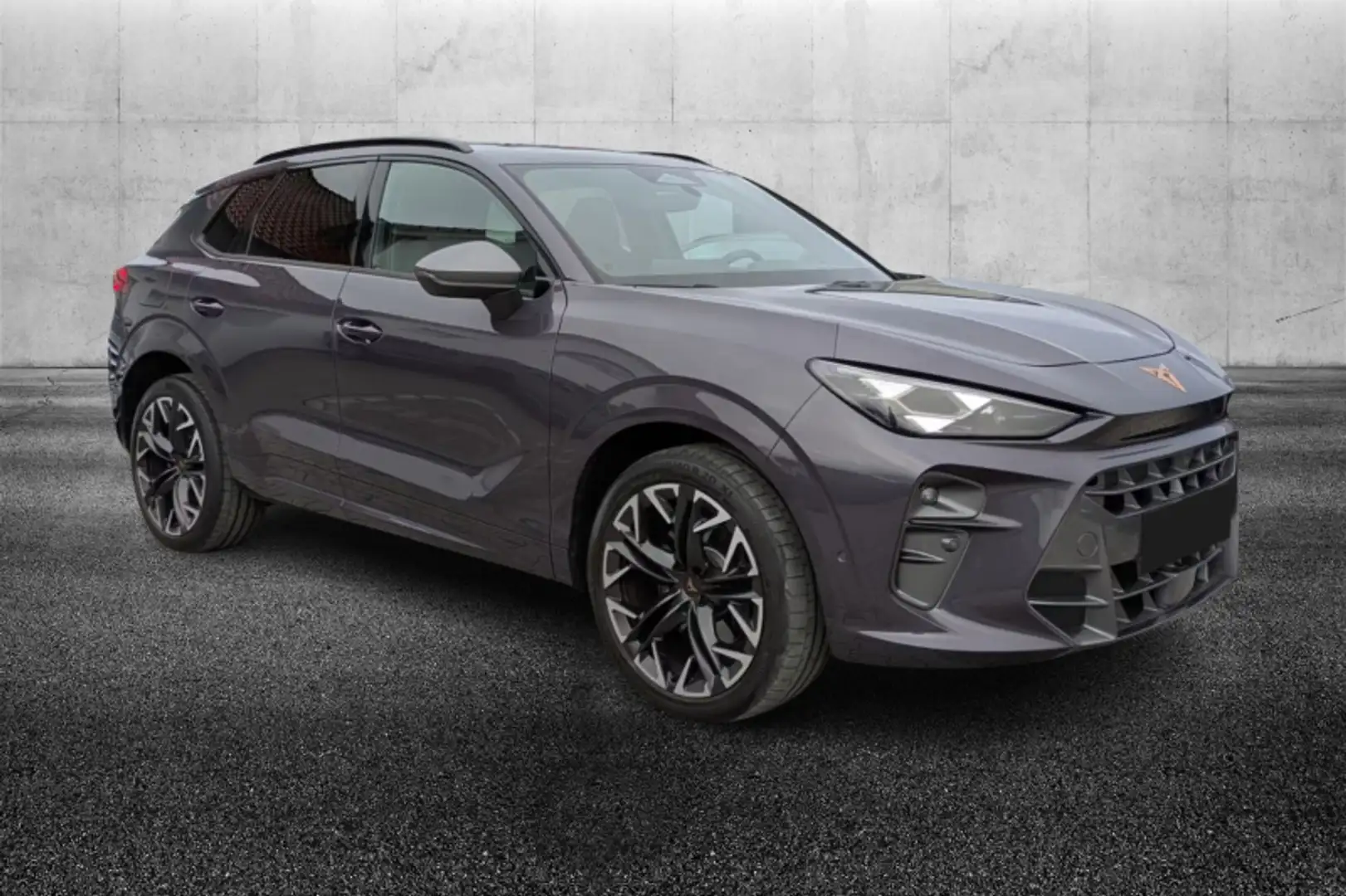 CUPRA Terramar 2.0 TSI DSG 4Drive VZ Lilla - 2