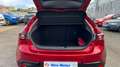 Mazda 3 2024 2.0 e-SKYACTIV-G MHEV 122CV 6MT FWD EXCLUSIVE Rojo - thumbnail 9