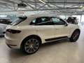 Porsche Macan S Diesel (9.75) Aut. Weiß - thumbnail 8