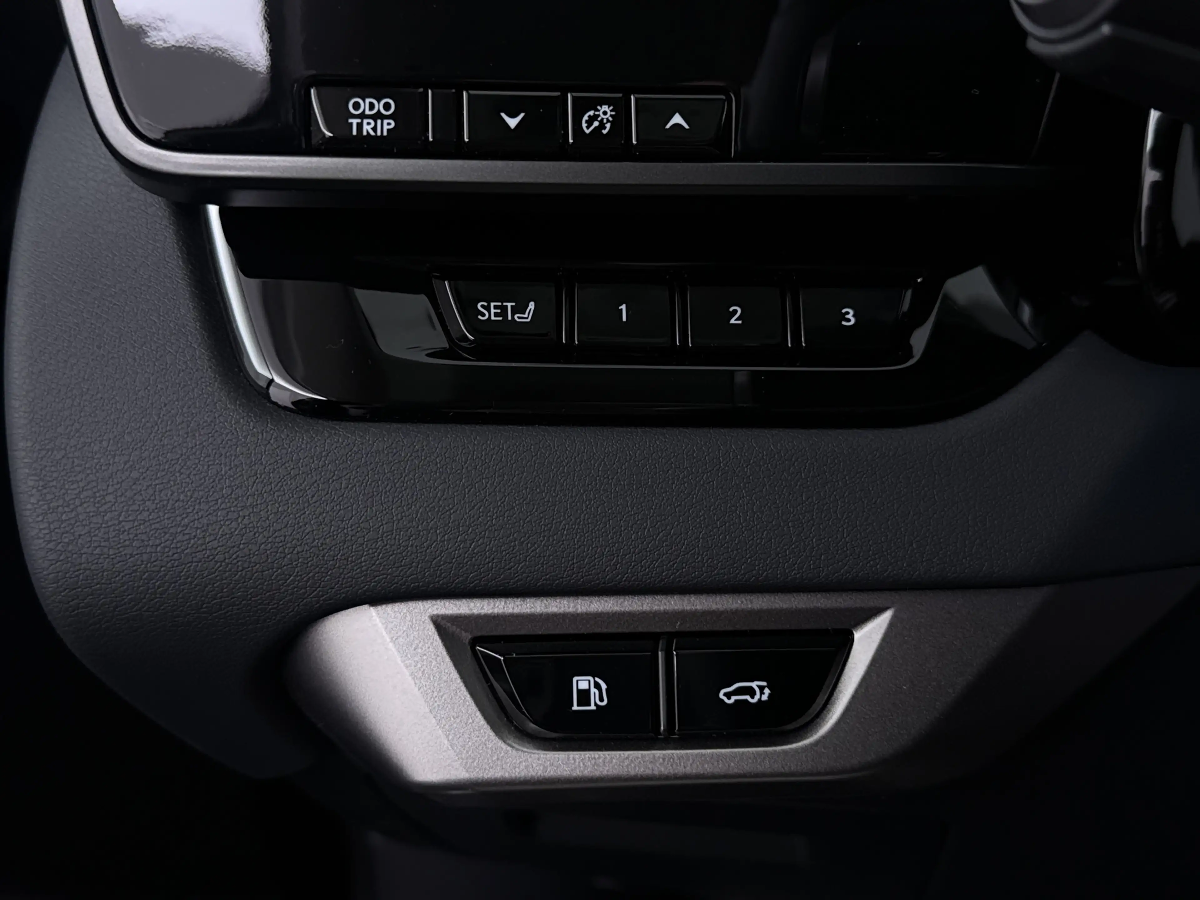 Lexus RX 450h 450h+ Plug-in Hybrid President Line | Mark Levinso — photo 6