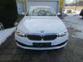 BMW 520 d TOURING xDrive Autom Xenon NAVI SHZ WR Weiß - thumbnail 28