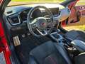 Kia ProCeed / pro_cee'd pro ceed 1,6 TGDI GPF GT GT Rot - thumbnail 14