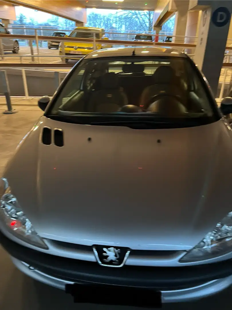 Peugeot 206 75 Petit Filou - 1