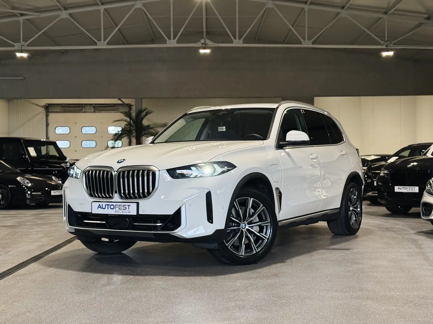 BMW X5 xDrive50e xLine - 12 Mnd Garantie Wit - 1