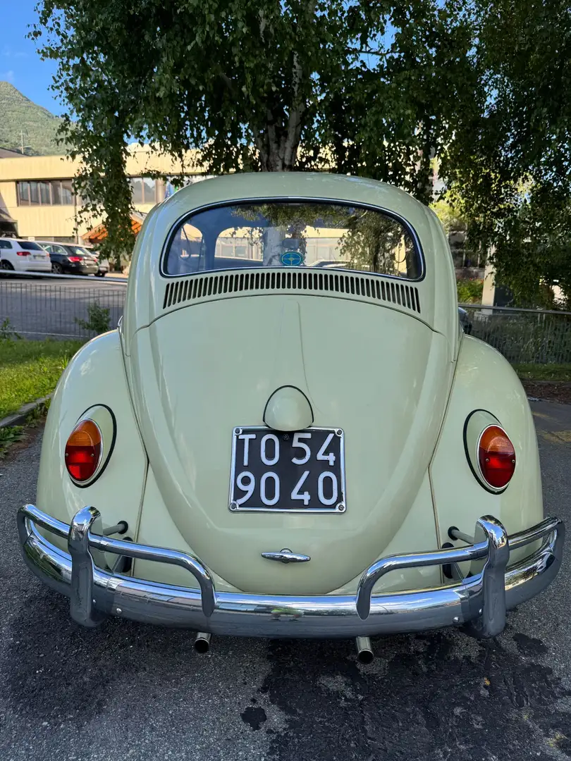 Volkswagen Maggiolino America - 2