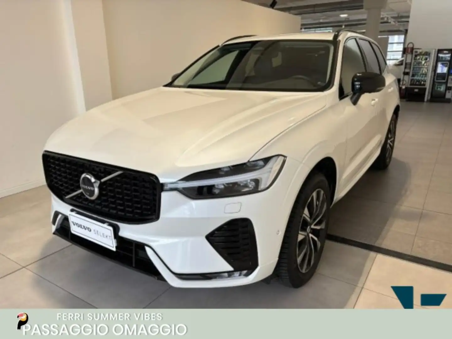 Volvo XC60 B4 automatico Plus Dark Bianco - 1