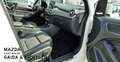 Mercedes-Benz B 250 Urban Weiß - thumbnail 12