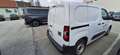 Fiat Doblo Kastenwagen BlueHDi 100 S&S Easy Pro Weiß - thumbnail 4
