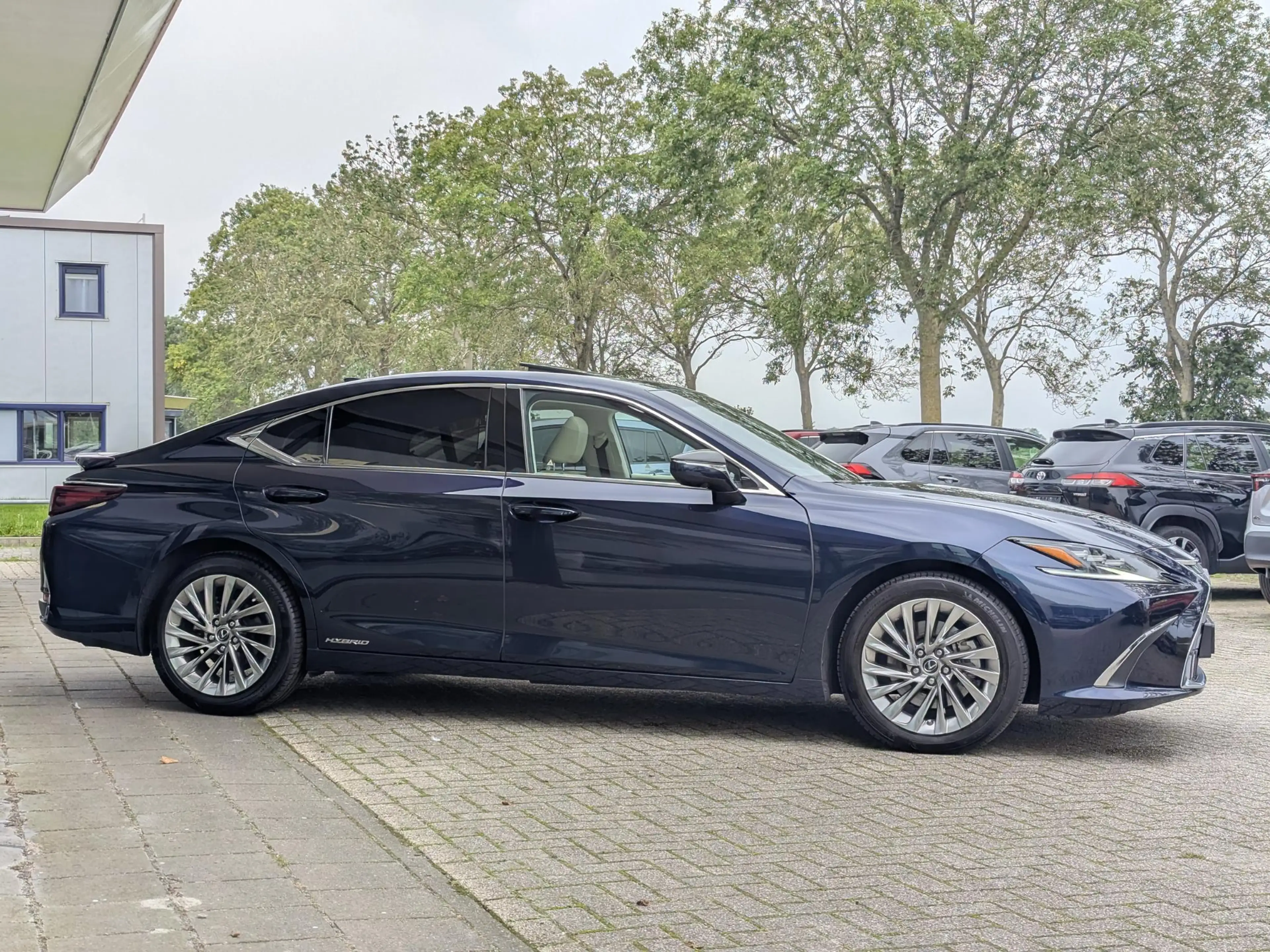 Lexus ES 300 300h President Line | Schuif- kanteldak | Mark Lev — photo 4