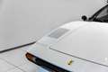 Ferrari 308 Vetroresina ~Ferrari Munsterhuis~ Blanco - thumbnail 15