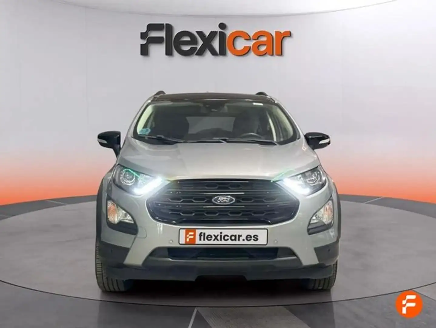 Ford EcoSport 1.0 EcoBoost Active 125 Gris - 2