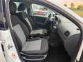 Volkswagen Polo Polo 1.2 Trendline Wit - thumbnail 11