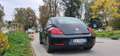 Volkswagen Beetle - thumbnail 5