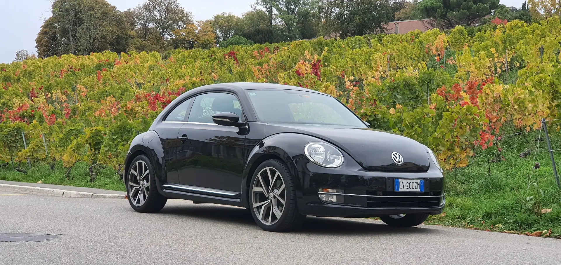 Volkswagen Beetle - 1