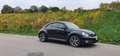 Volkswagen Beetle - thumbnail 2