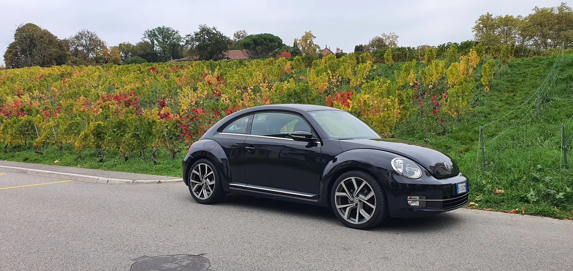 Volkswagen Beetle - 2