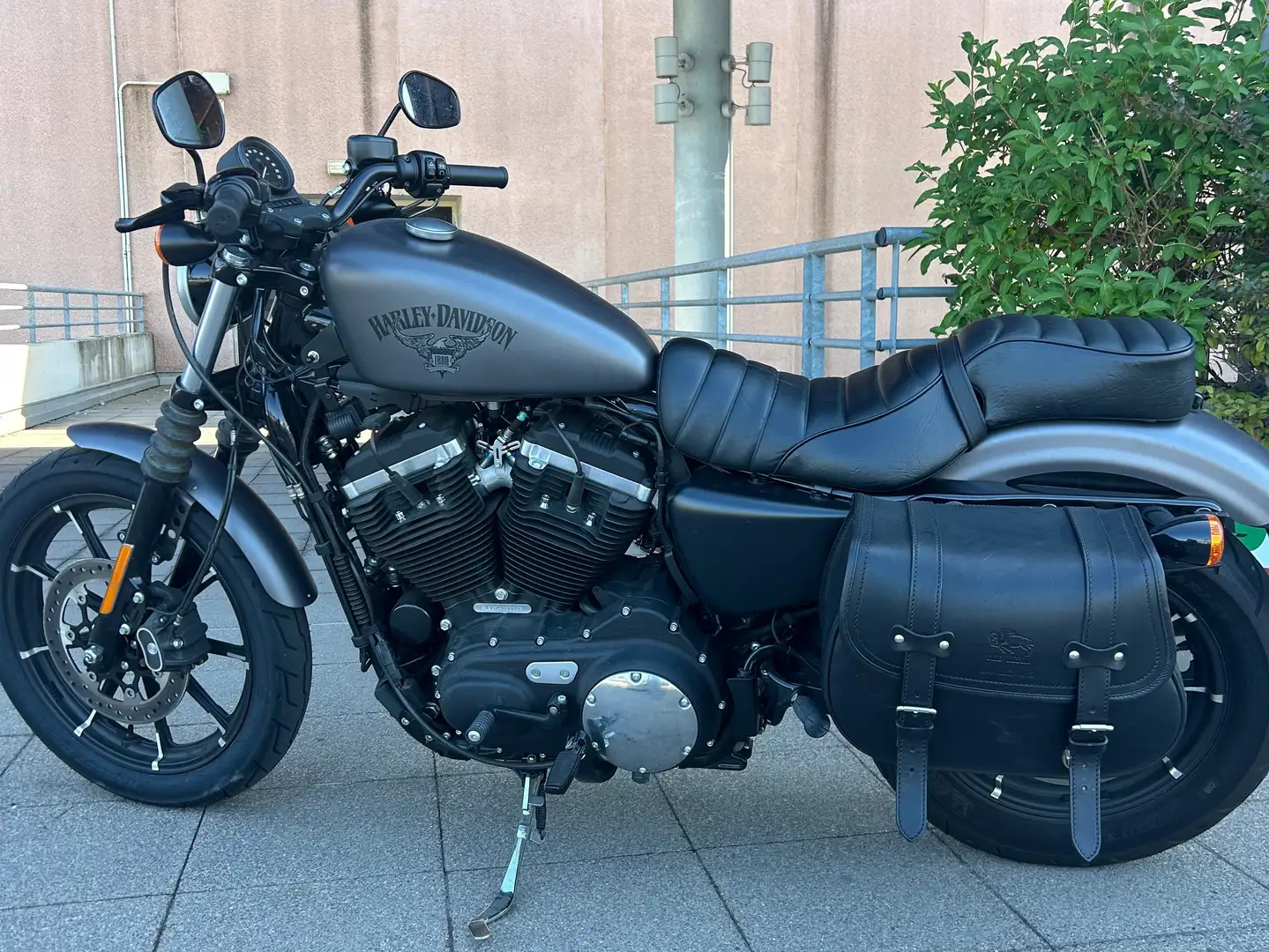 Harley-Davidson Iron 883 Grigio - 1