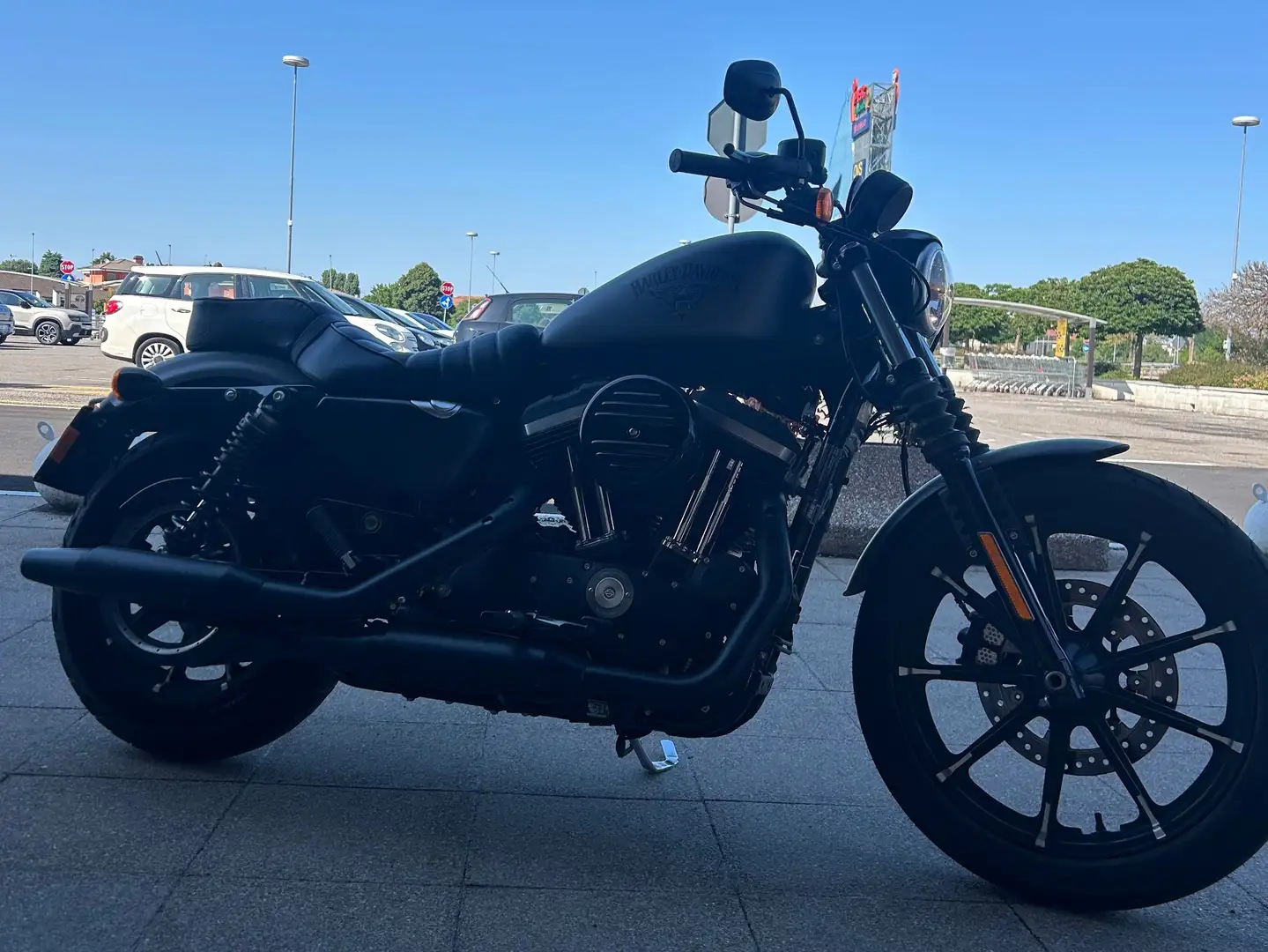 Harley-Davidson Iron 883 Grigio - 2